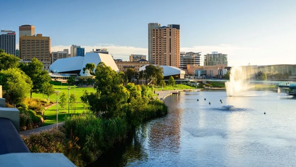 specialists Adelaide Image
